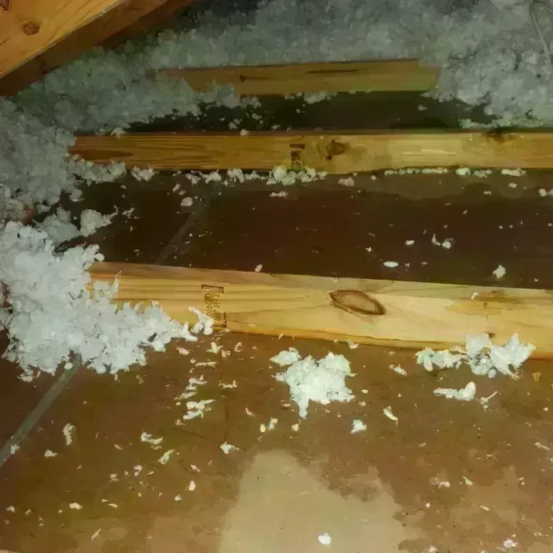 Attic Water Damage in Mesa Verde, CA