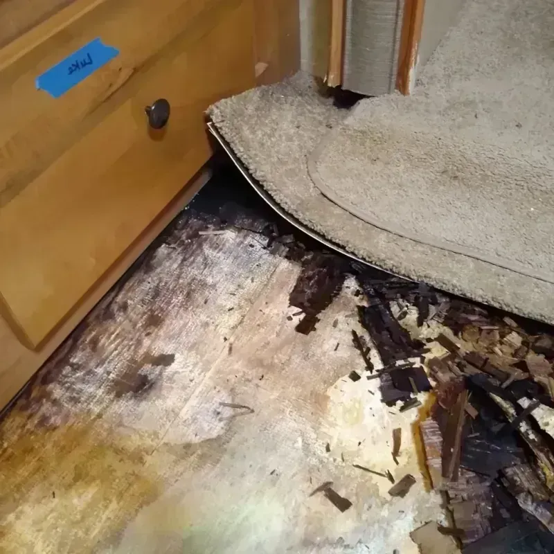 Wood Floor Water Damage in Mesa Verde, CA